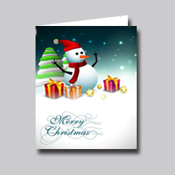 SY-2013-CD024