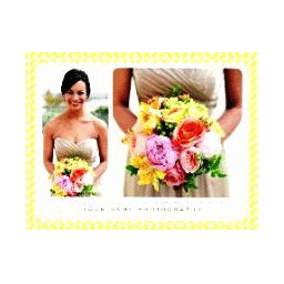 SY-2013-CD020