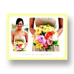 SY-2013-CD020