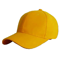 SY-2013-ST018